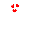 Möwen in Liebe