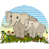 Éléphants