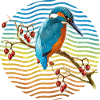 Bunter Vogel