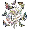 Schmetterlinge