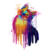 Bunte Katze