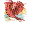 Retro Bird Northern Cardinal