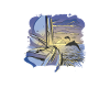 Delfin Delfinschule Säugetier Meer Delfinarium