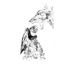Gothic - Strength Tarot Card Design