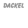Dackel Papa