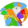 Rainbow Parrot