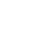 Evolution Bauleiter
