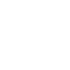 Evolution Bergmann