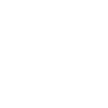 Evolution Biker