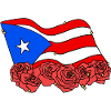 PR Flagge Blumenrose Puerto Rico