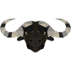Water buffalo geometric