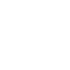 Partysau grunge