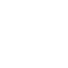 American Bison Buffalo