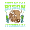 American Bison Buffalo