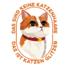 Cat Rental Cat Domestic Cat