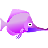 Purple Zebrasoma