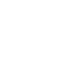 Santos Brasil Lettering