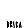 Picture with Brida