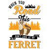Ferret Lover Ferret Gift