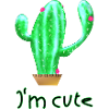 Kaktus