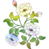 Fleur
