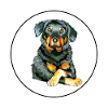Beauceron Dog Aquarelle Sketch Illustration