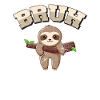 BRUH Funny Sloth Lovers Cute Sloths Baby Sloth Boy