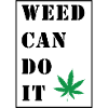 Cannabis crew 03