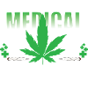Cannabis crew 06