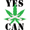 Cannabis-Crew 01