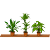 Potted plants shelf