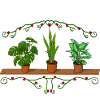 Gärtnerin Pflanzen