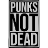 punks not dead quote
