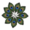 Peacock Feather Mandala