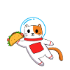 taco cat