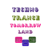 Tomorrowland- Festival-Tshirt Techno Trance