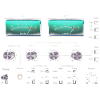 audio gear