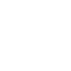 Ski