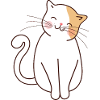 cute kitty