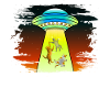 UFOS Alien Abduction Cats