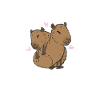 Capybara Wasserschwein Capybaras