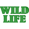 Wild Life in YOU