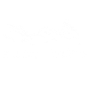 Vélo de course