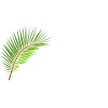 Kamite