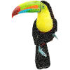 Bird ~ the Toucan