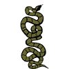 Schlange Python grün