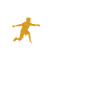 Disc Golf Disc Golfeur