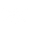 bouclier transparent blanc