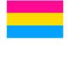 Pansexual Flag LGBTQ