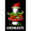 Gnomaste Yoga Gnom